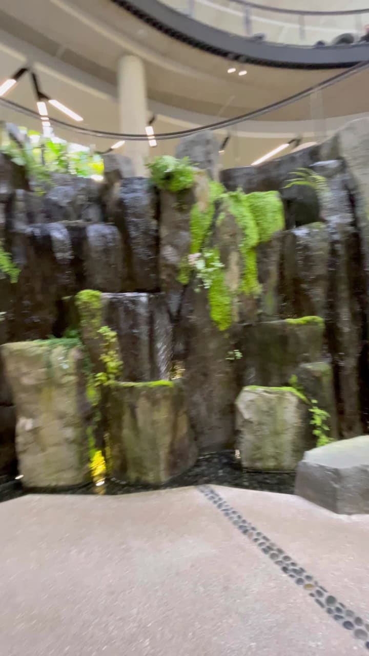 Video review of Amazon - The Spheres