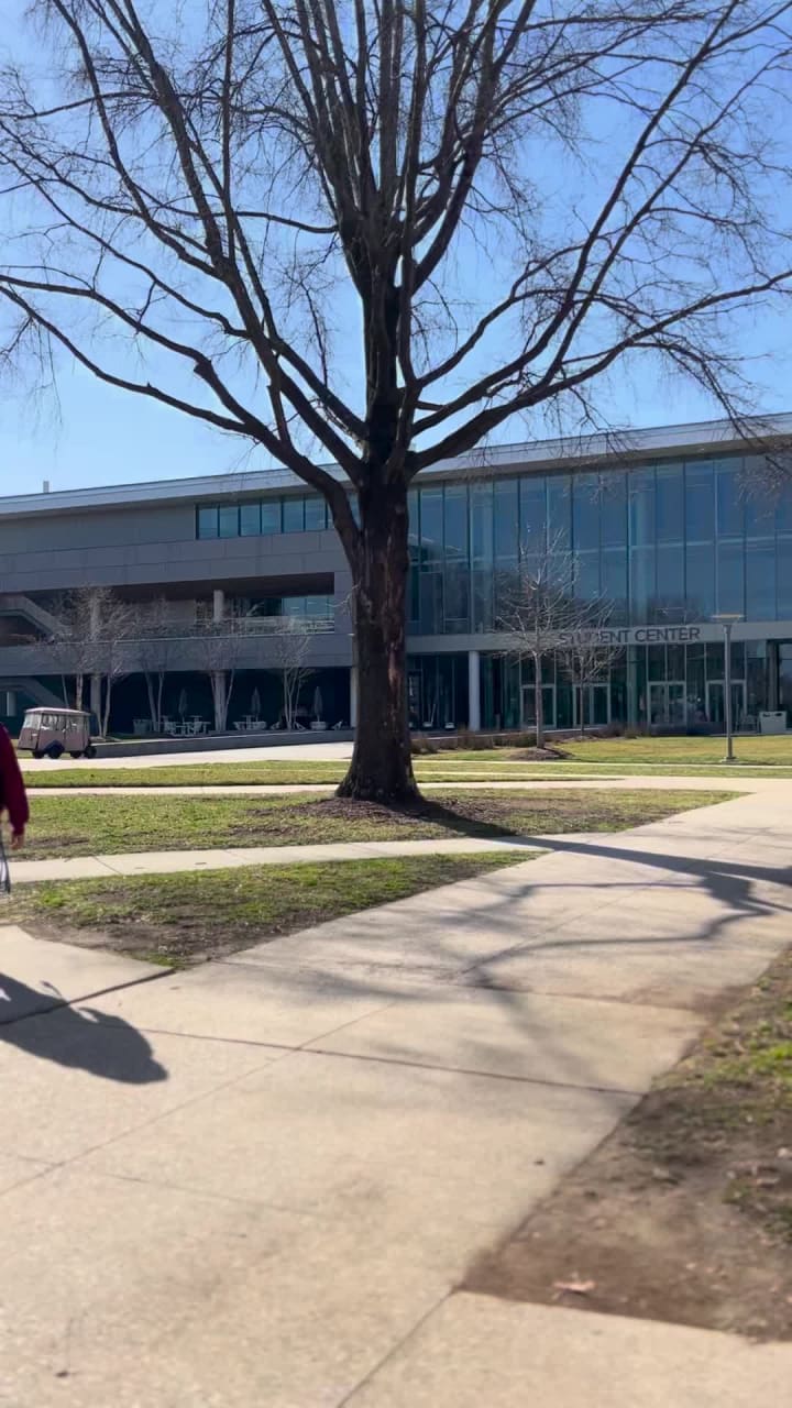 Video review of AMC Altamonte Mall 18