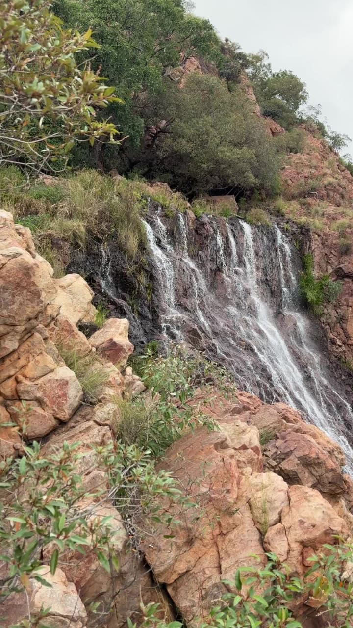 Wonderboom Nature Reserve