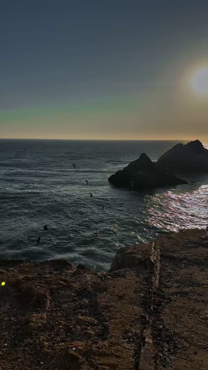 Video review of Sutro Baths