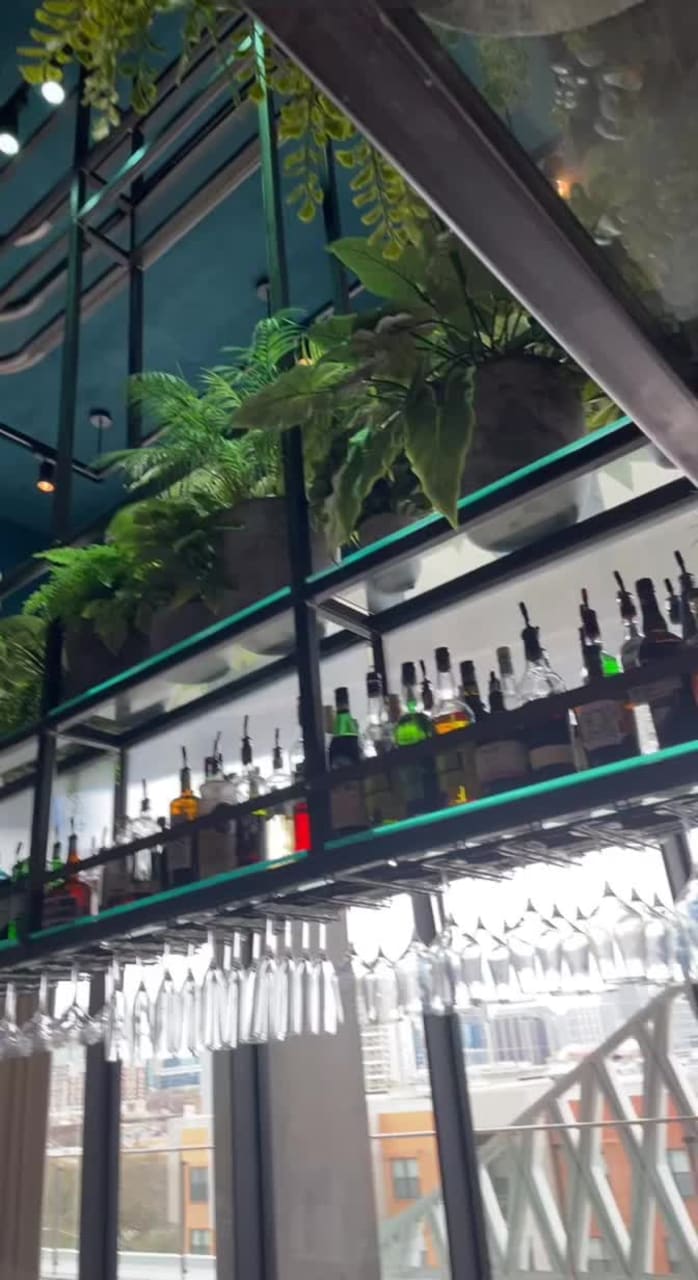 Video review of Commons Club