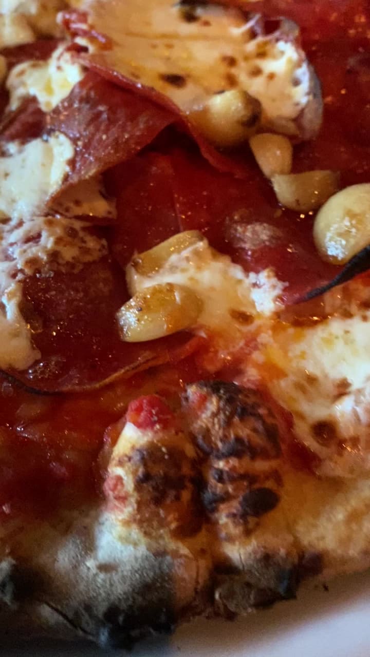 Video review of Pizzeria Gusto