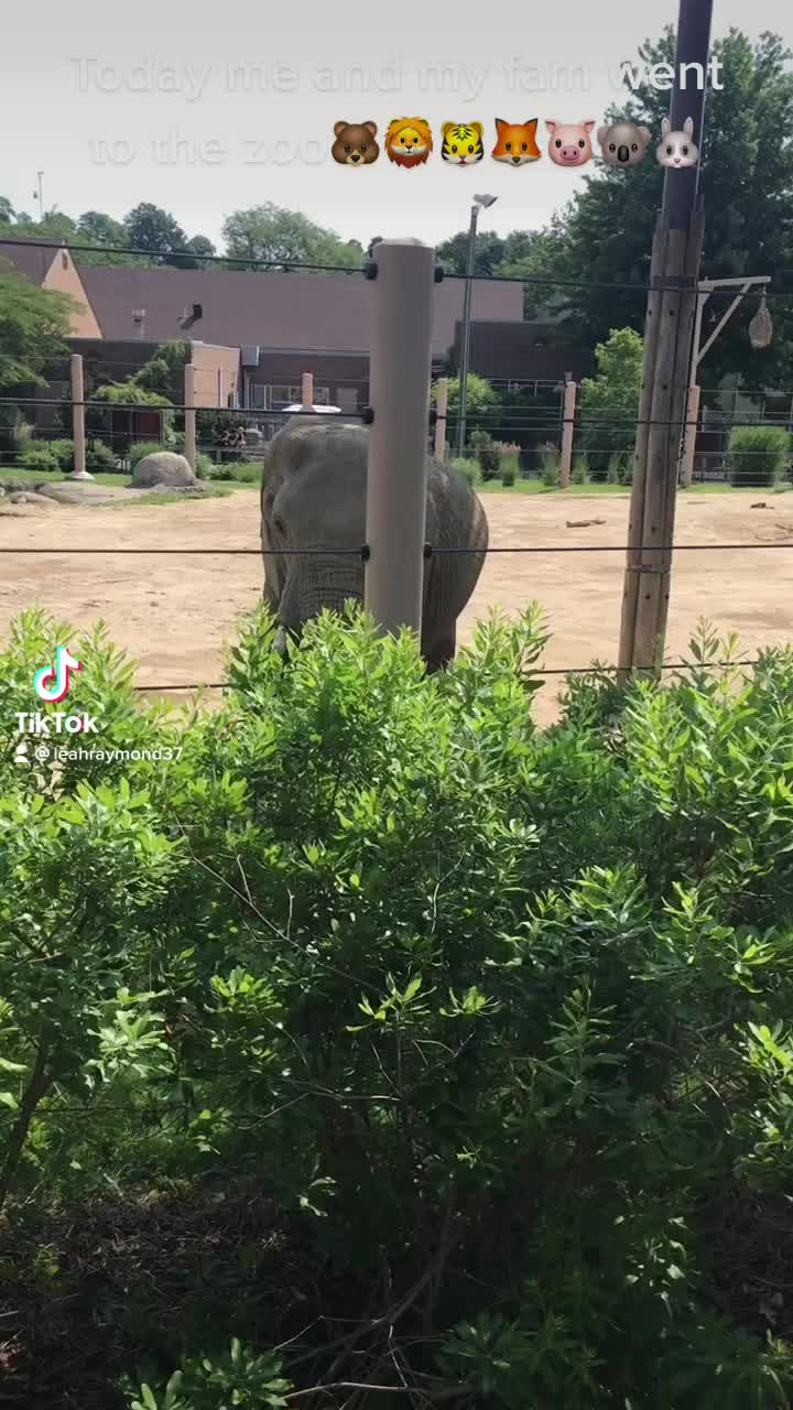 Cleveland Metroparks Zoo