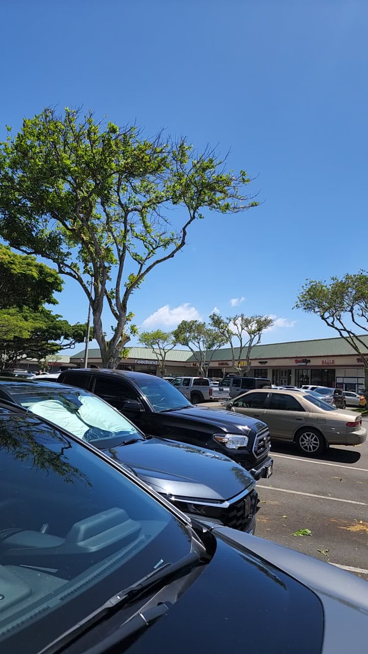Video review of Town Center of Mililani