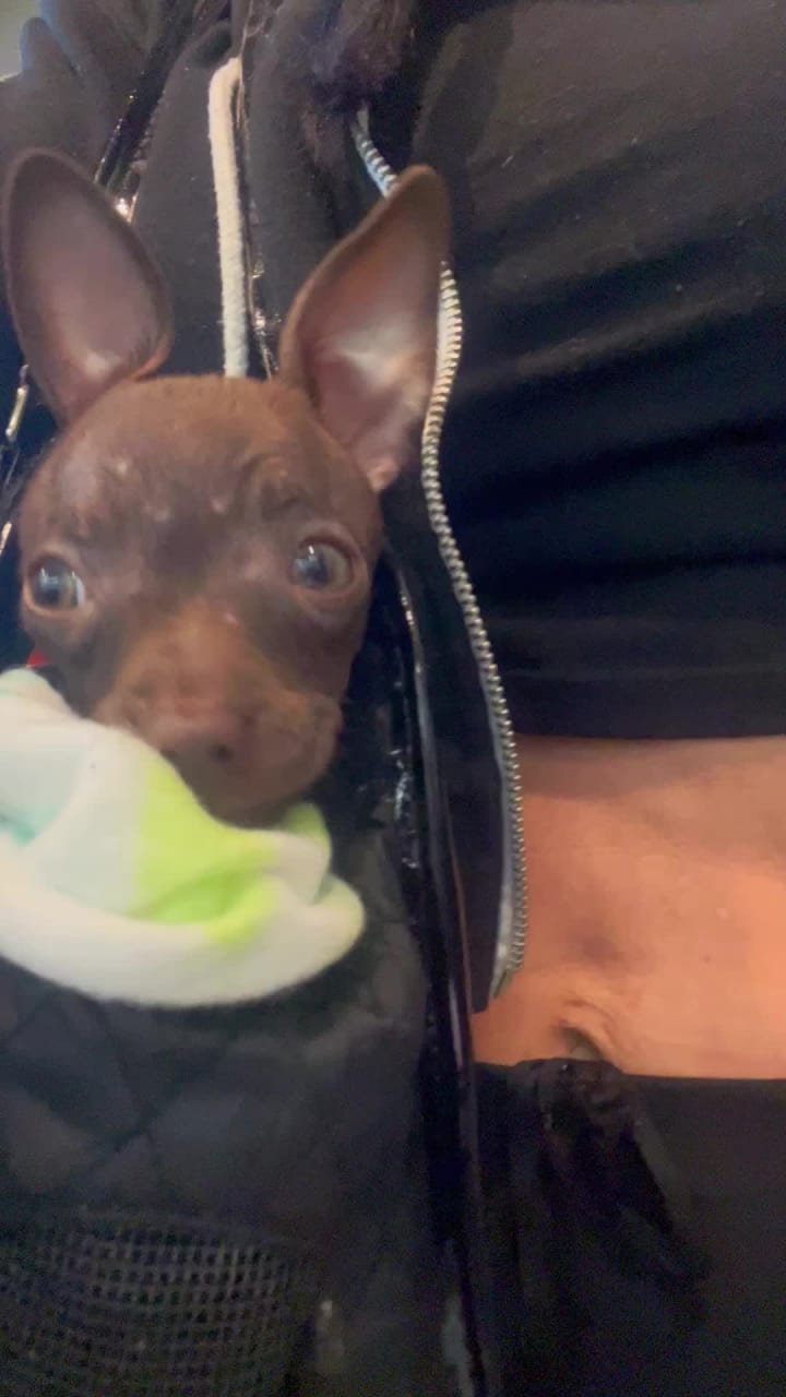 Video review of Erewhon Market