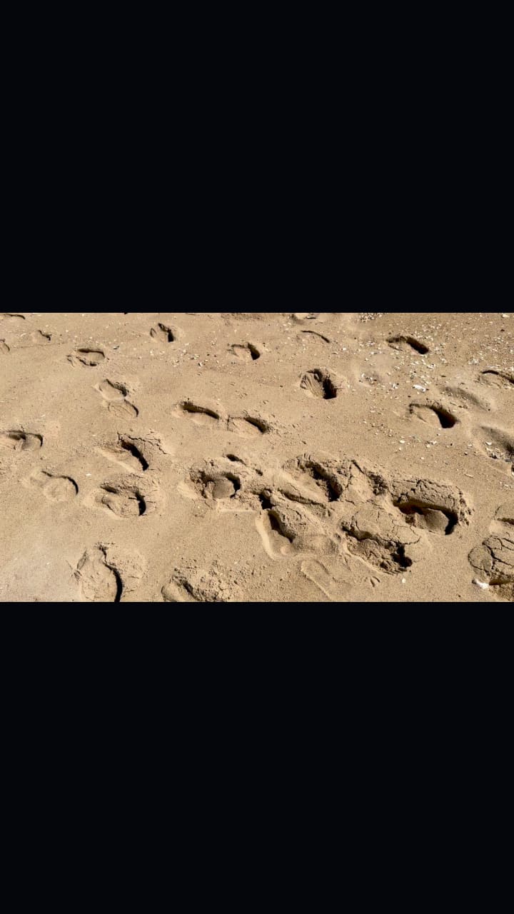 Video review of Ocean City Boardwalk