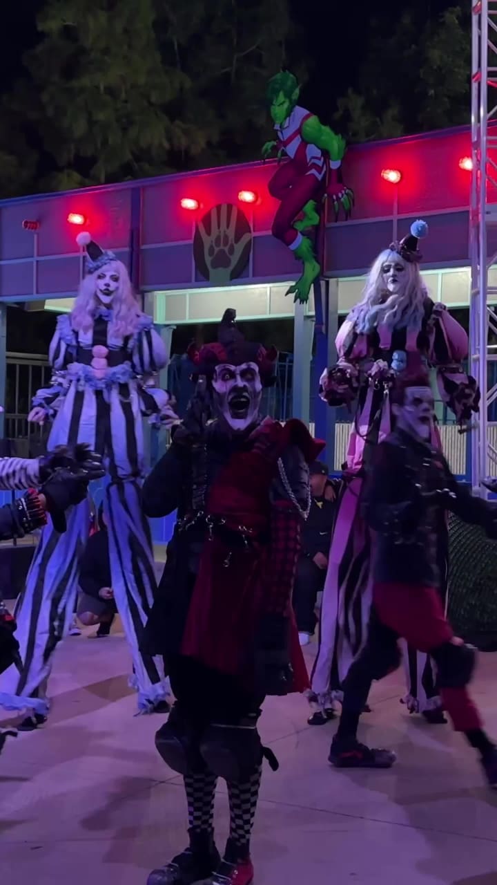 Six Flags Magic Mountain