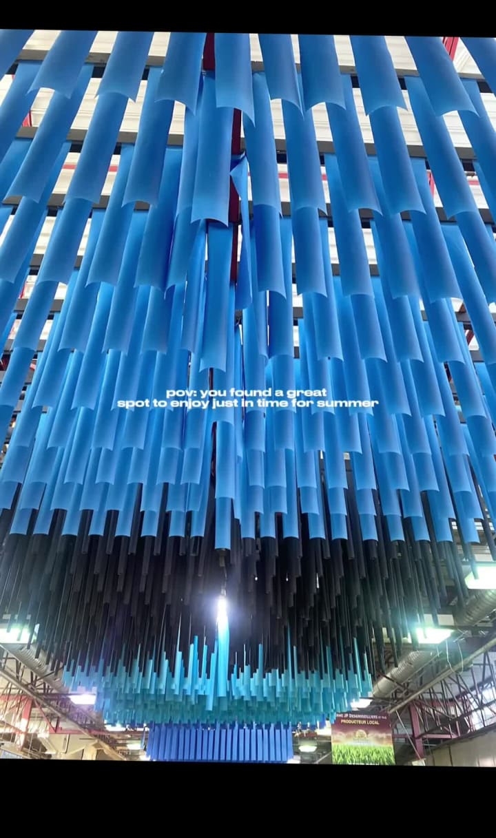 Video review of Marché Jean-Talon