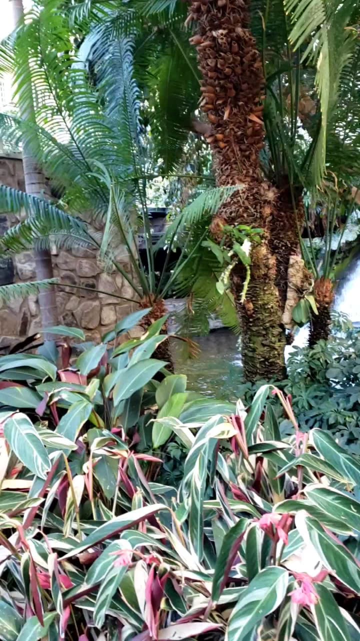 Gaylord Opryland Resort & Convention Center