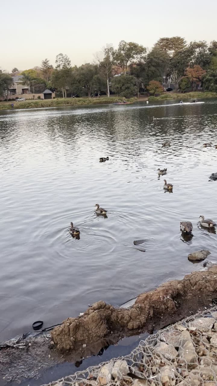 Johannesburg Botanical Gardens