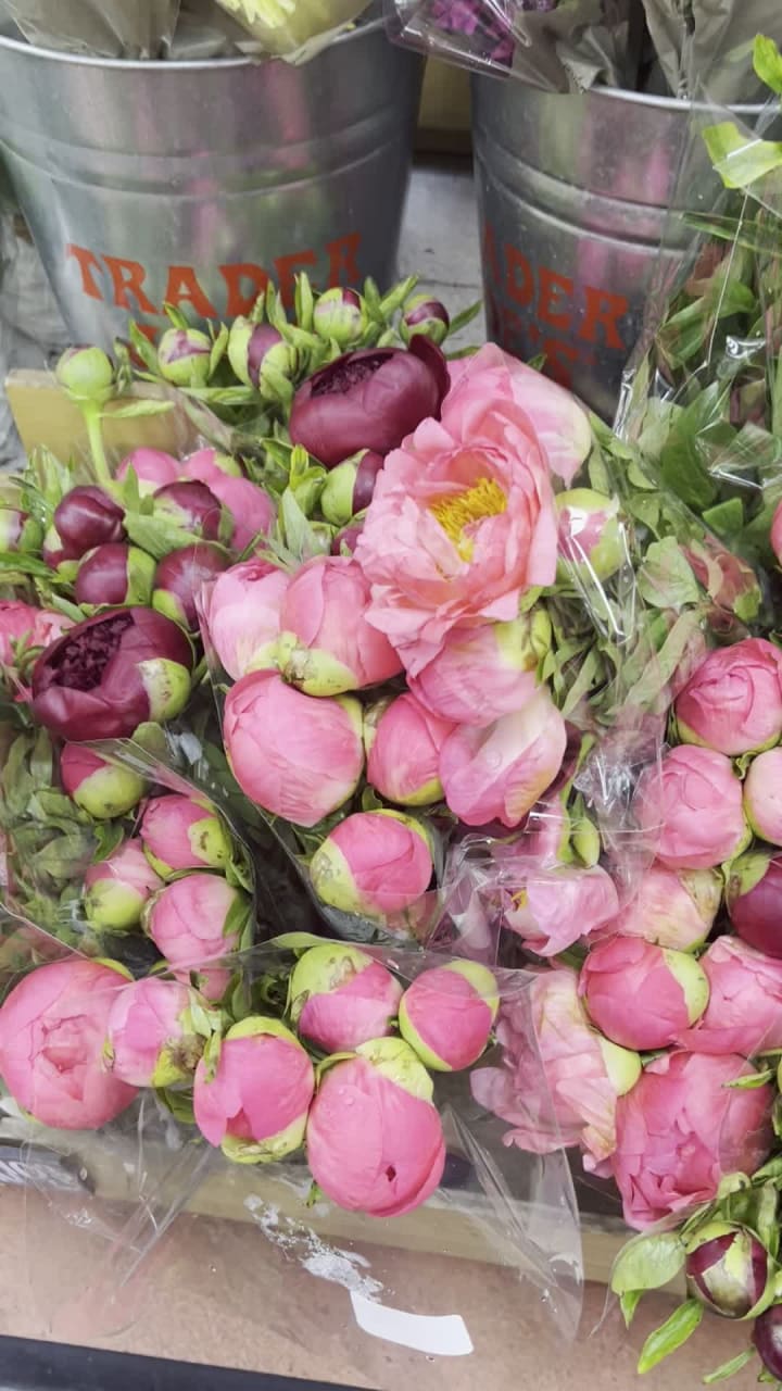 Video review of Trader Joe's