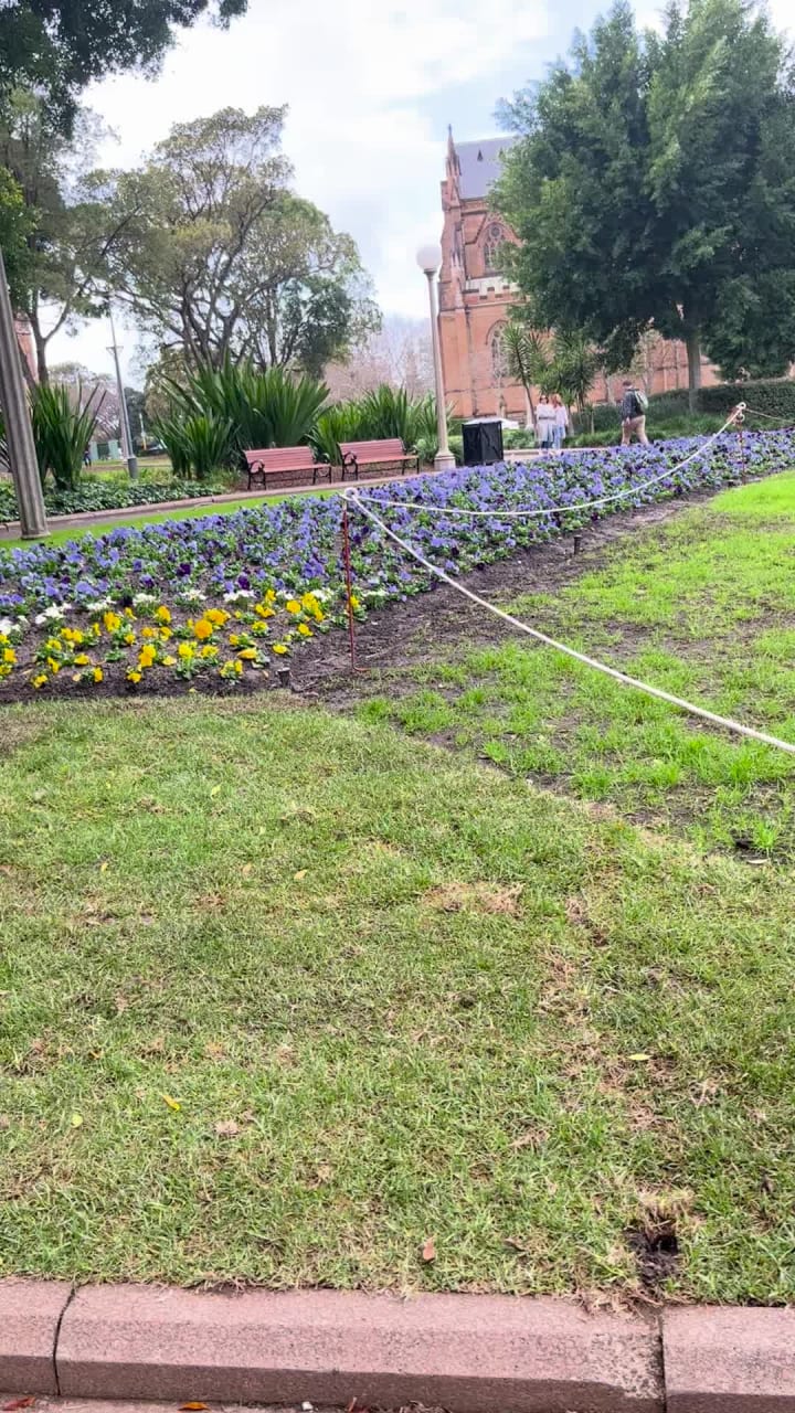 Video review of Hyde Park