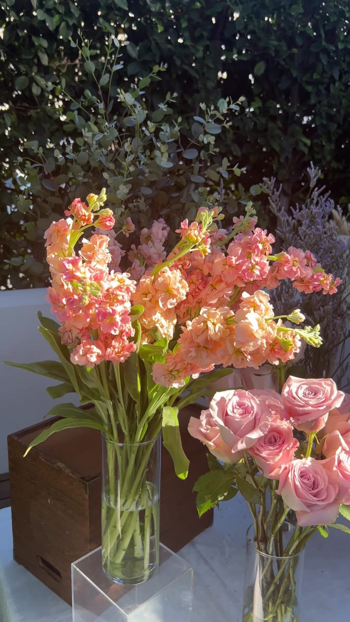 Morning Lavender Boutique & Cafe