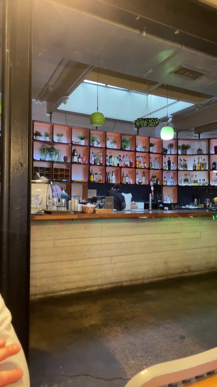 Video review of Halcyon Southtown