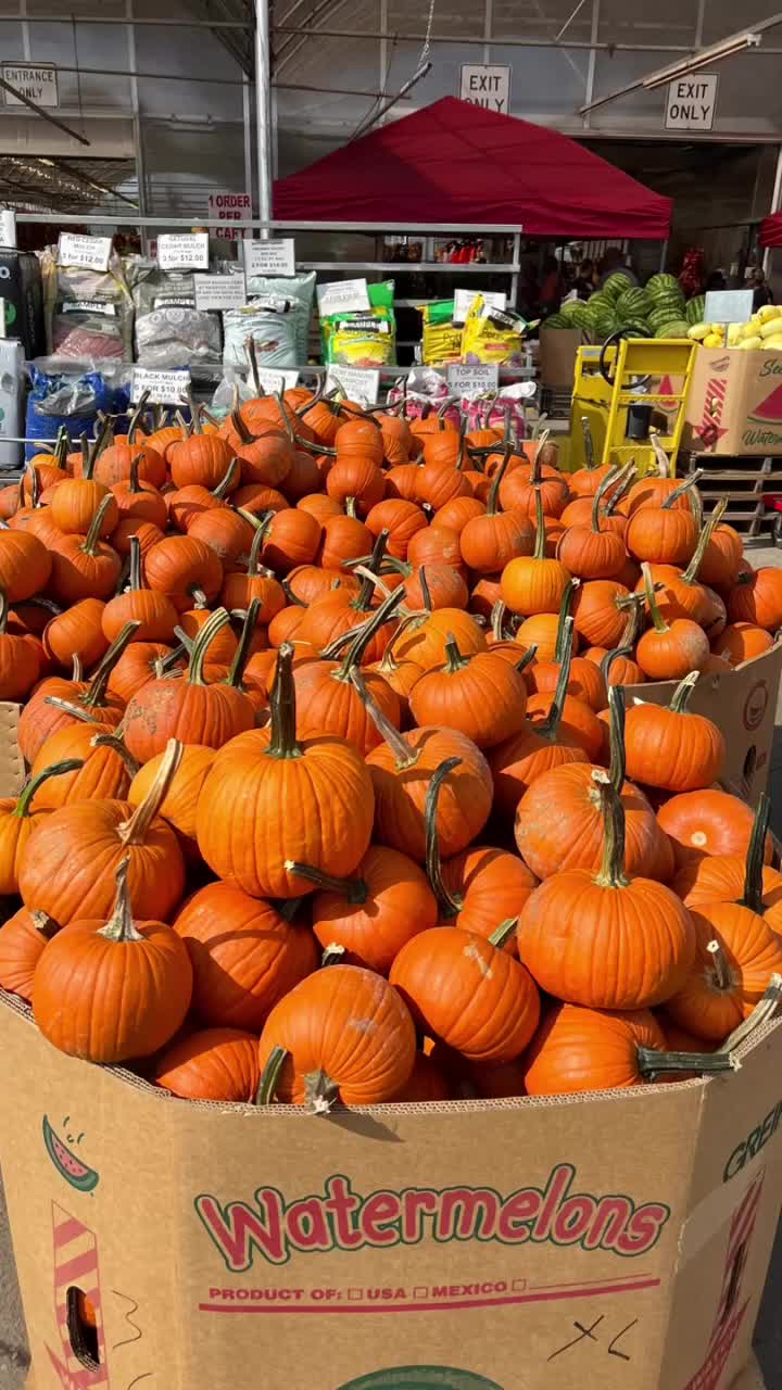 Video review of Gasko's Family Farms