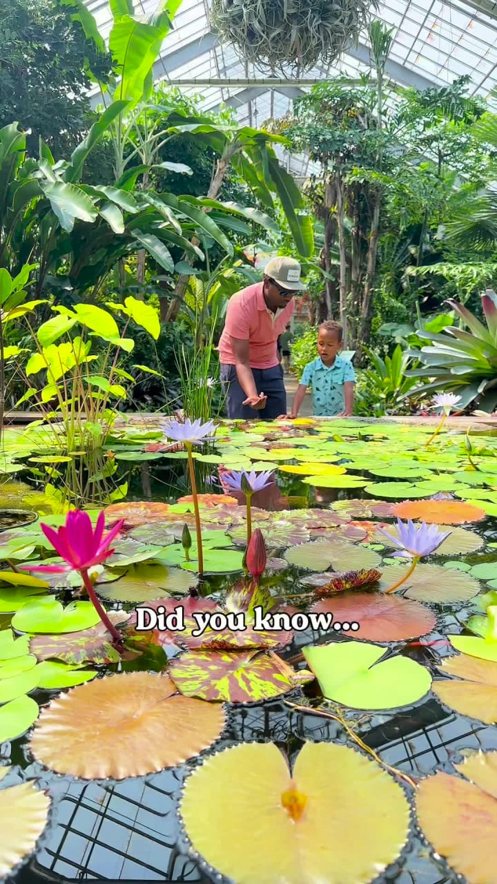 Matthaei botanical gardens