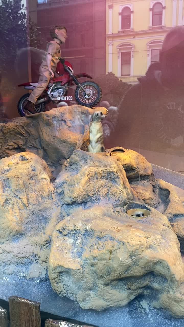 Video review of Myer Melbourne