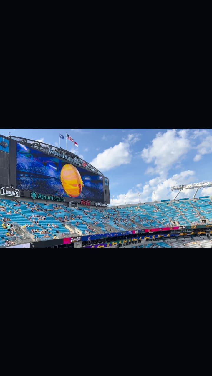 Bank of America Stadium
