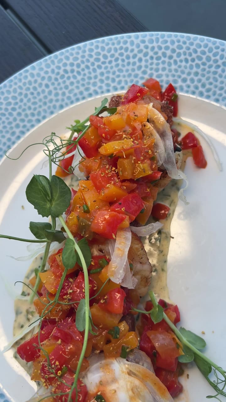 Video review of Battello