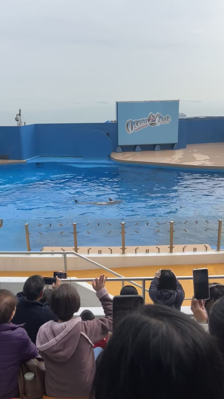 Video review of Ocean Theatre (海洋劇場)