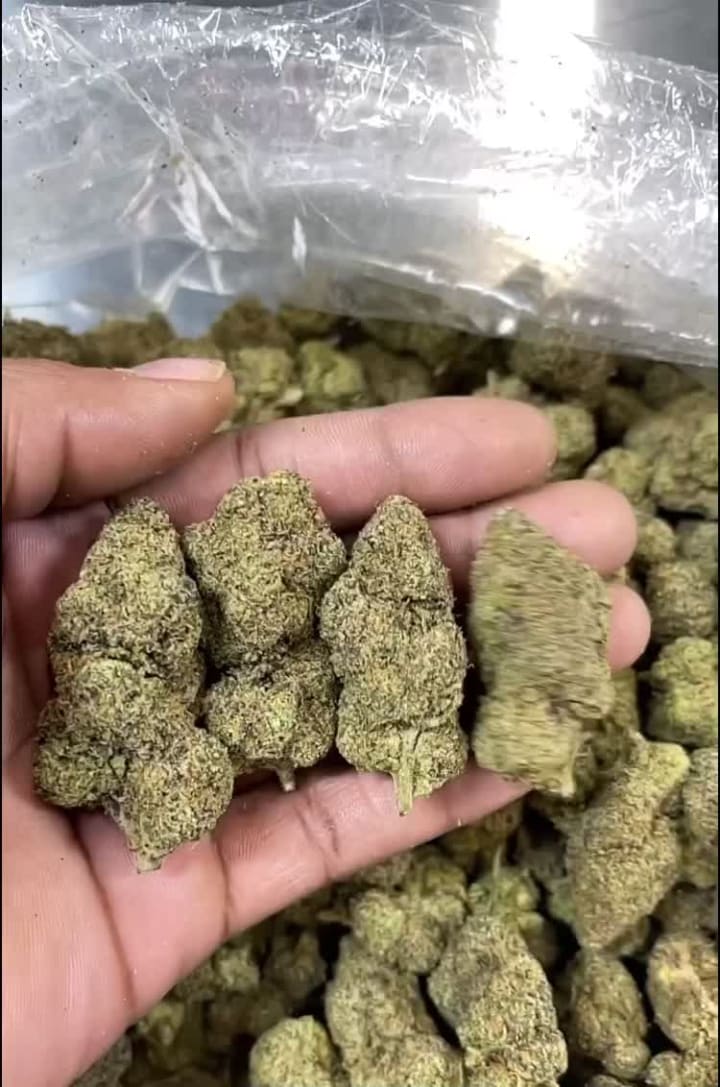 Video review of Casey Moore's Oyster House