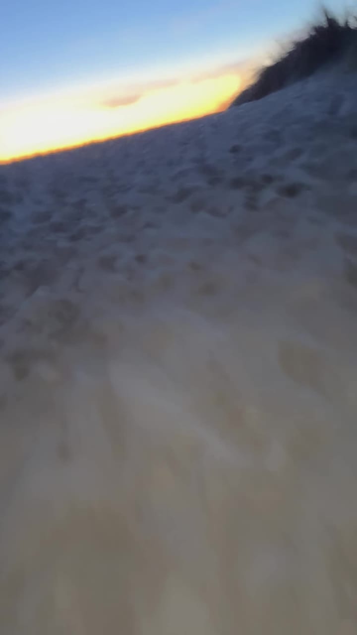 Video review of Santa Cruz Beach Boardwalk