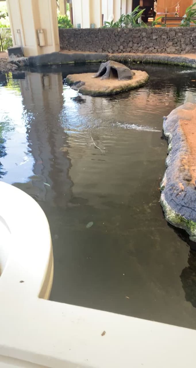 Hyatt Regency Maui Resort And Spa