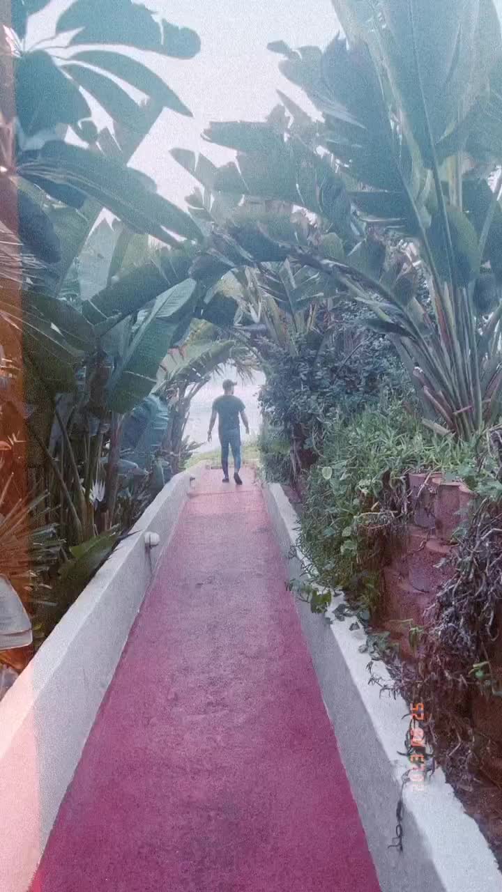 Apartment 20 Bronze Bay