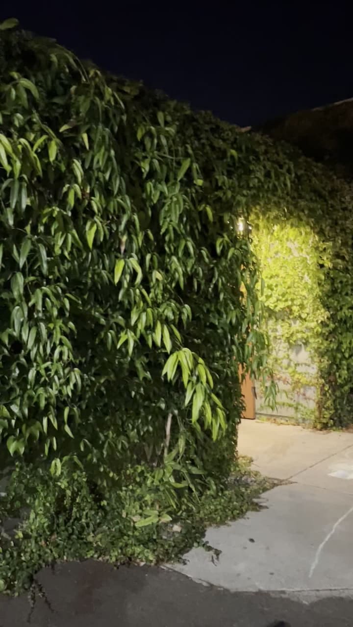 Video review of Han Oak Restaurant