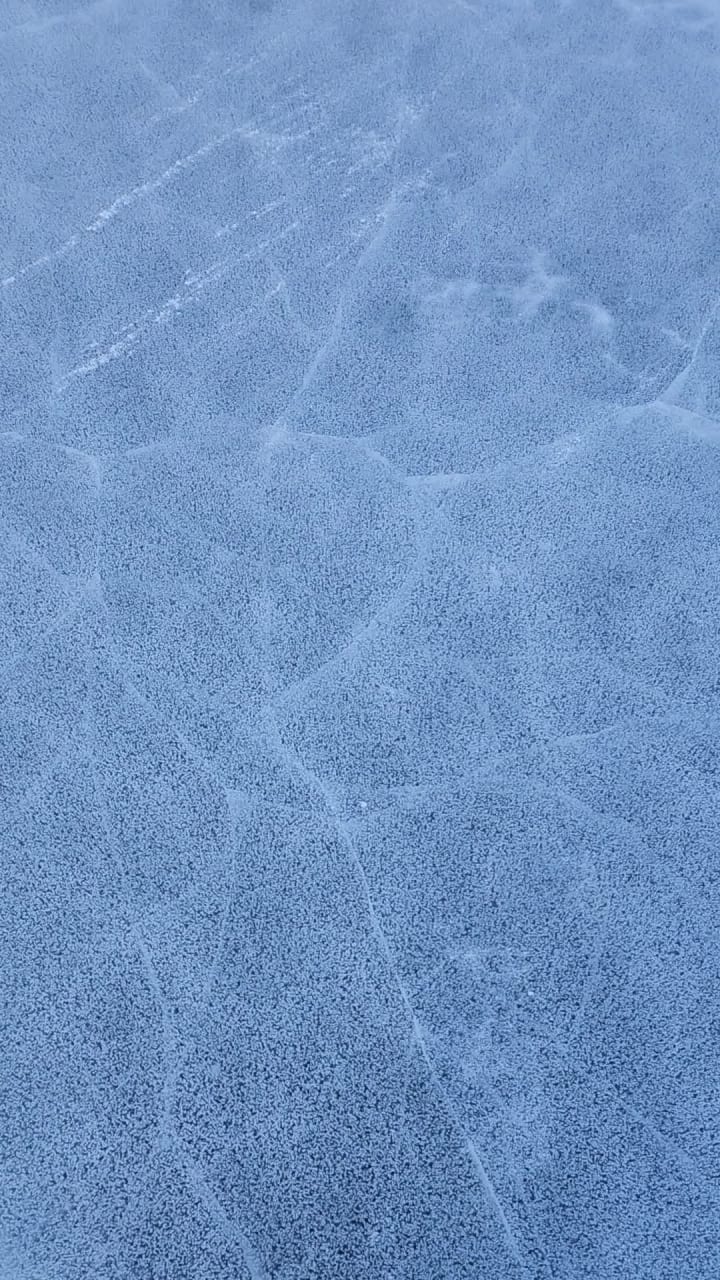 Estes Park Institute