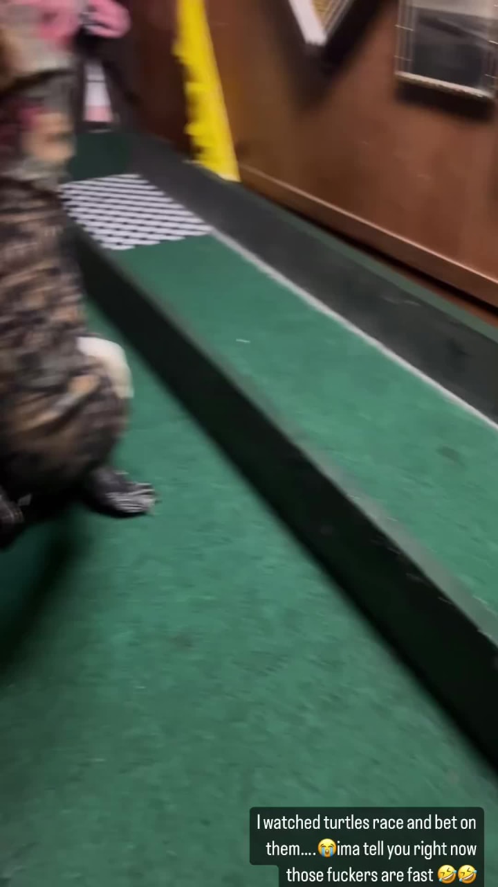 Turtles all the way down