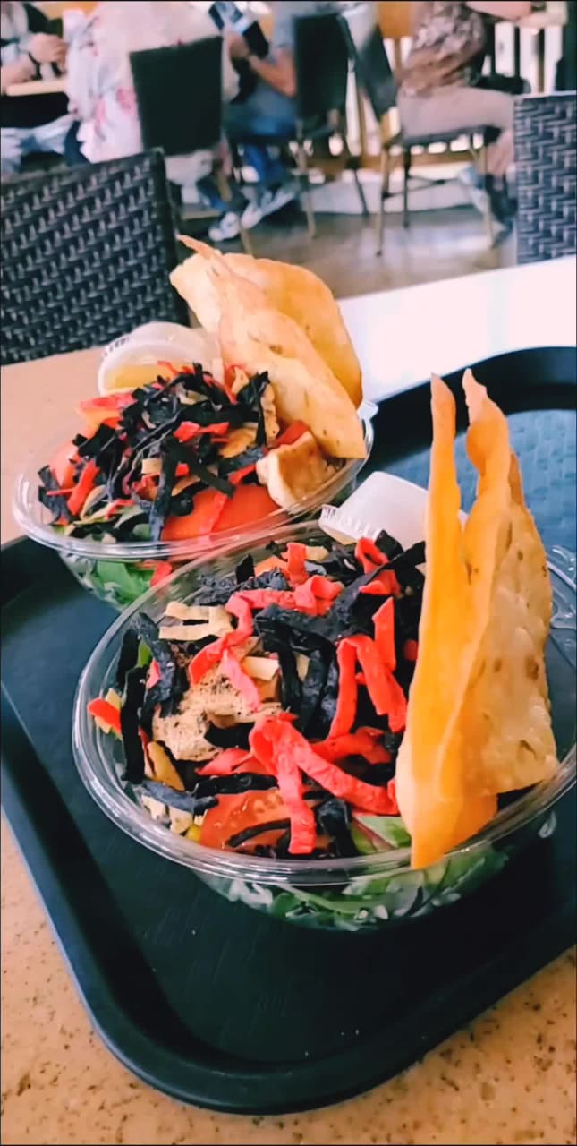 Jurassic World Velocicoaster