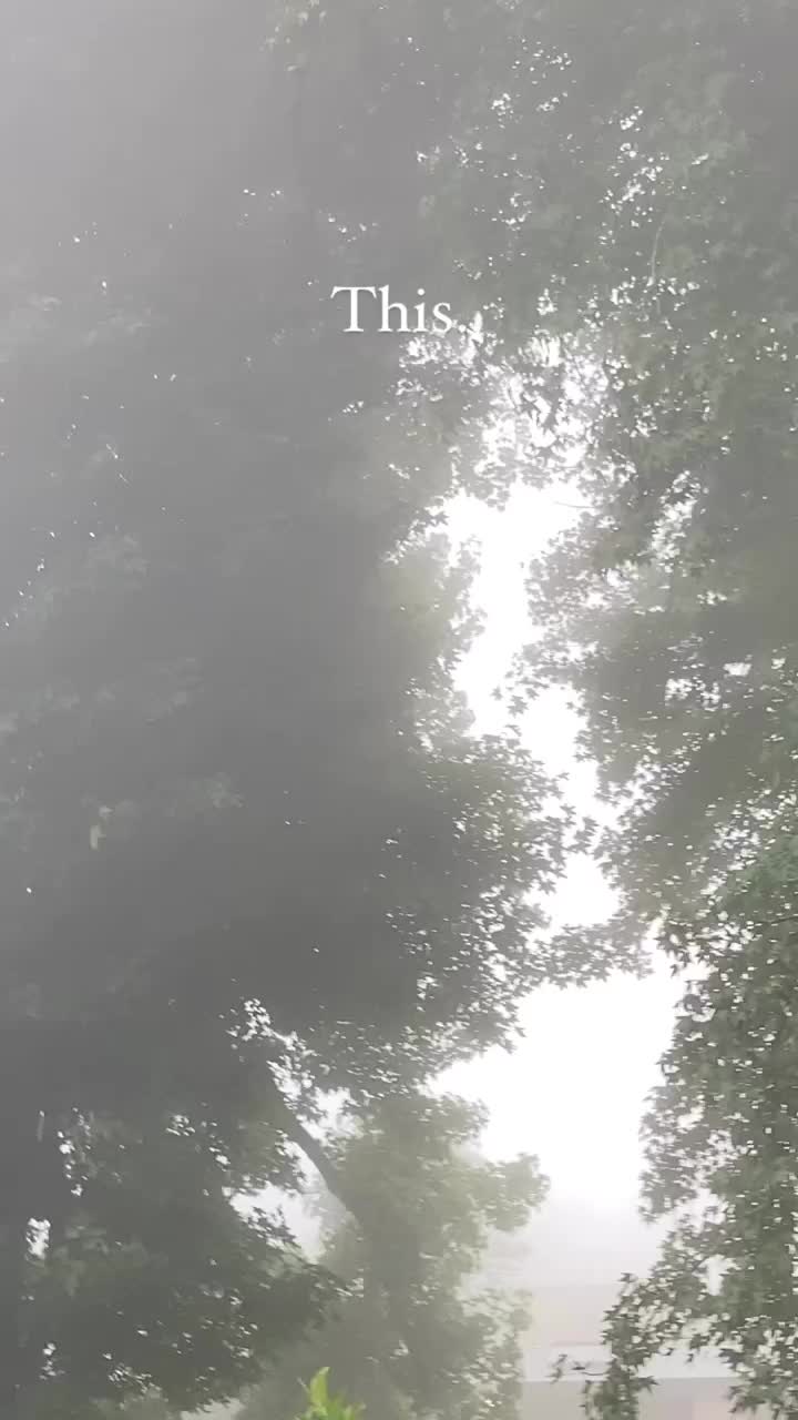 Misty Mountain Lodge