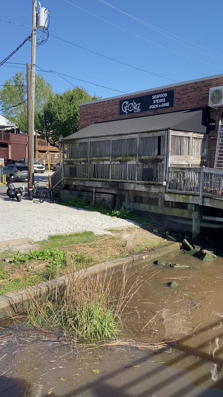 Video review of The George on the Riverwalk