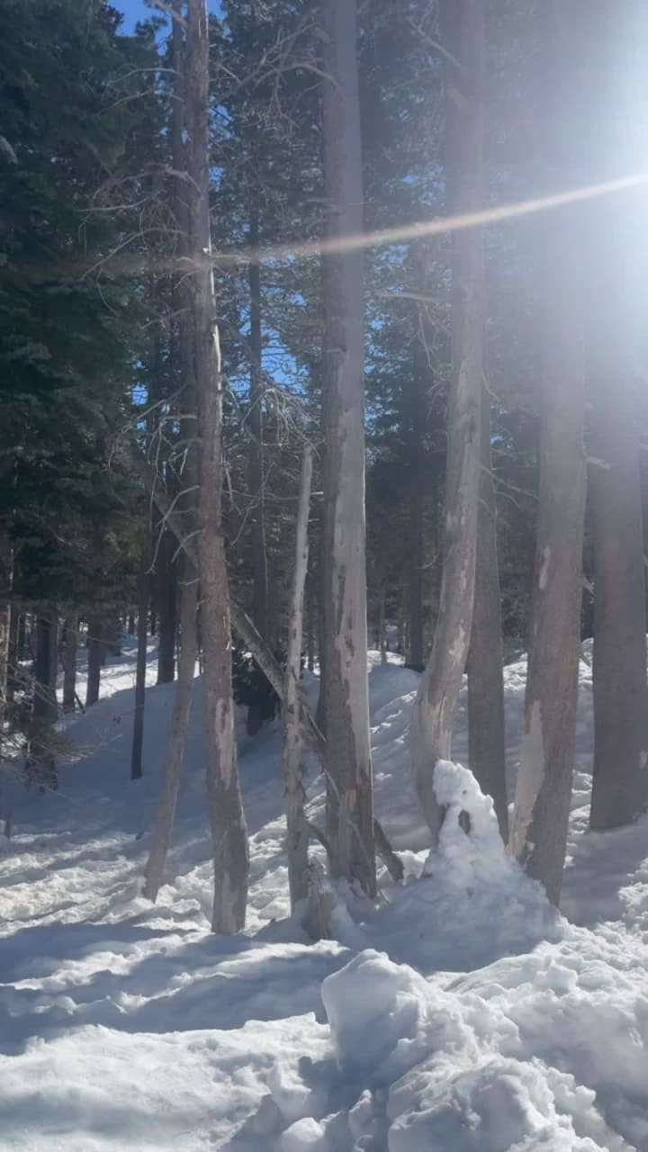 Video review of Circus Circus Reno