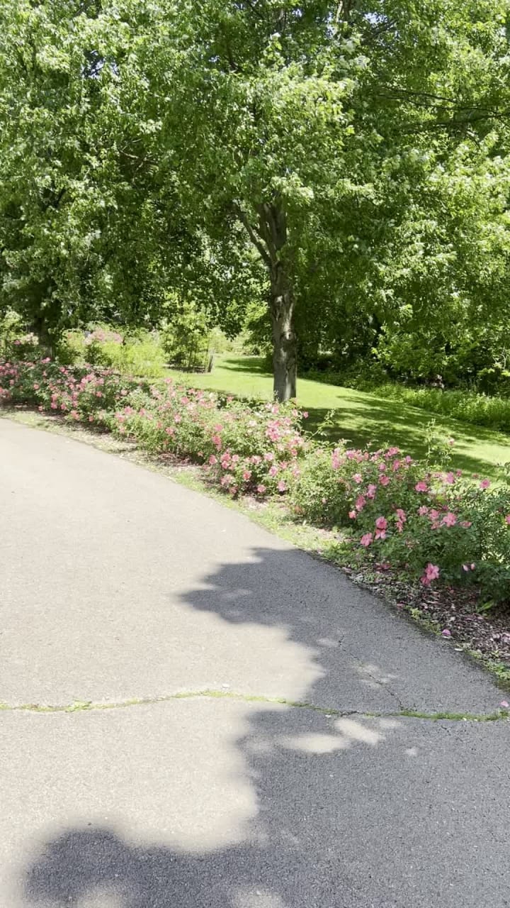 Whetstone Park of Roses