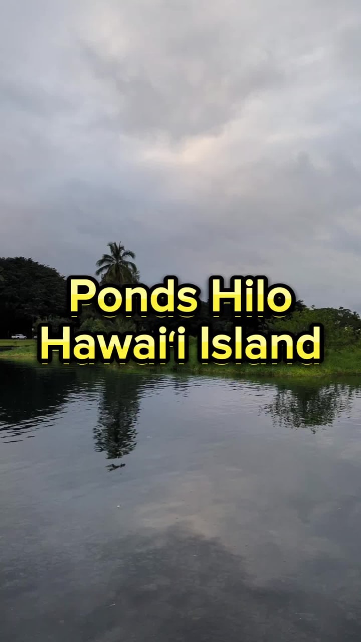 Ponds Hilo