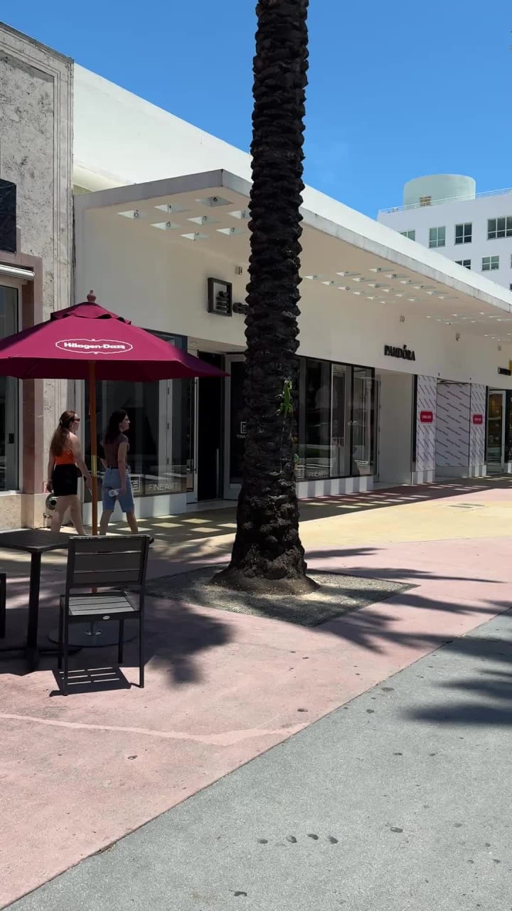 Video review of Lincoln Road Mall