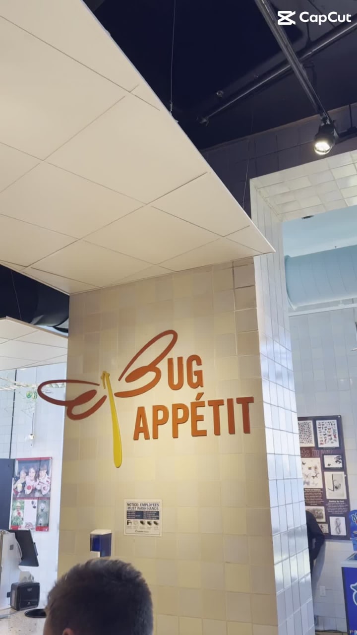 Video review of Audubon Insectarium