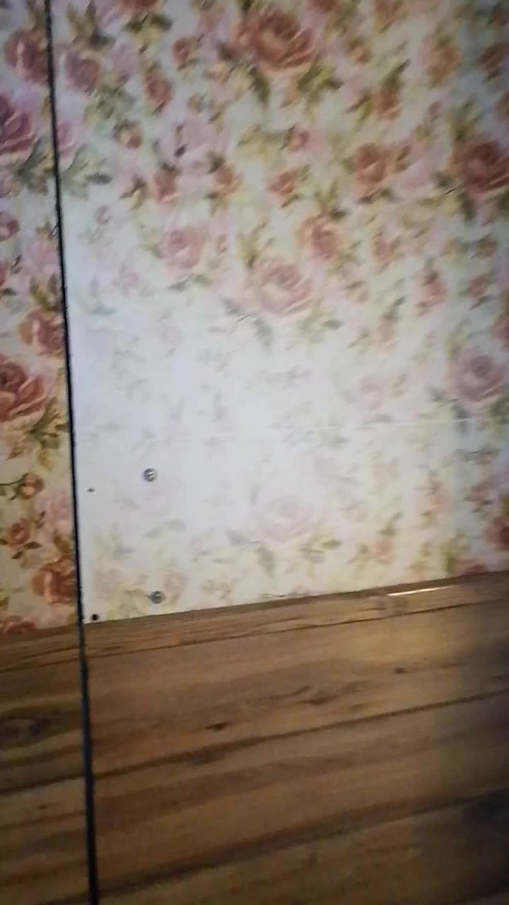 The Secret Donut Society