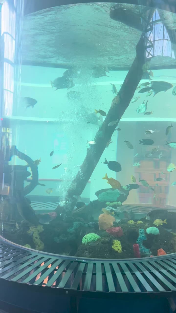 Ripley's Aquarium of the Smokies