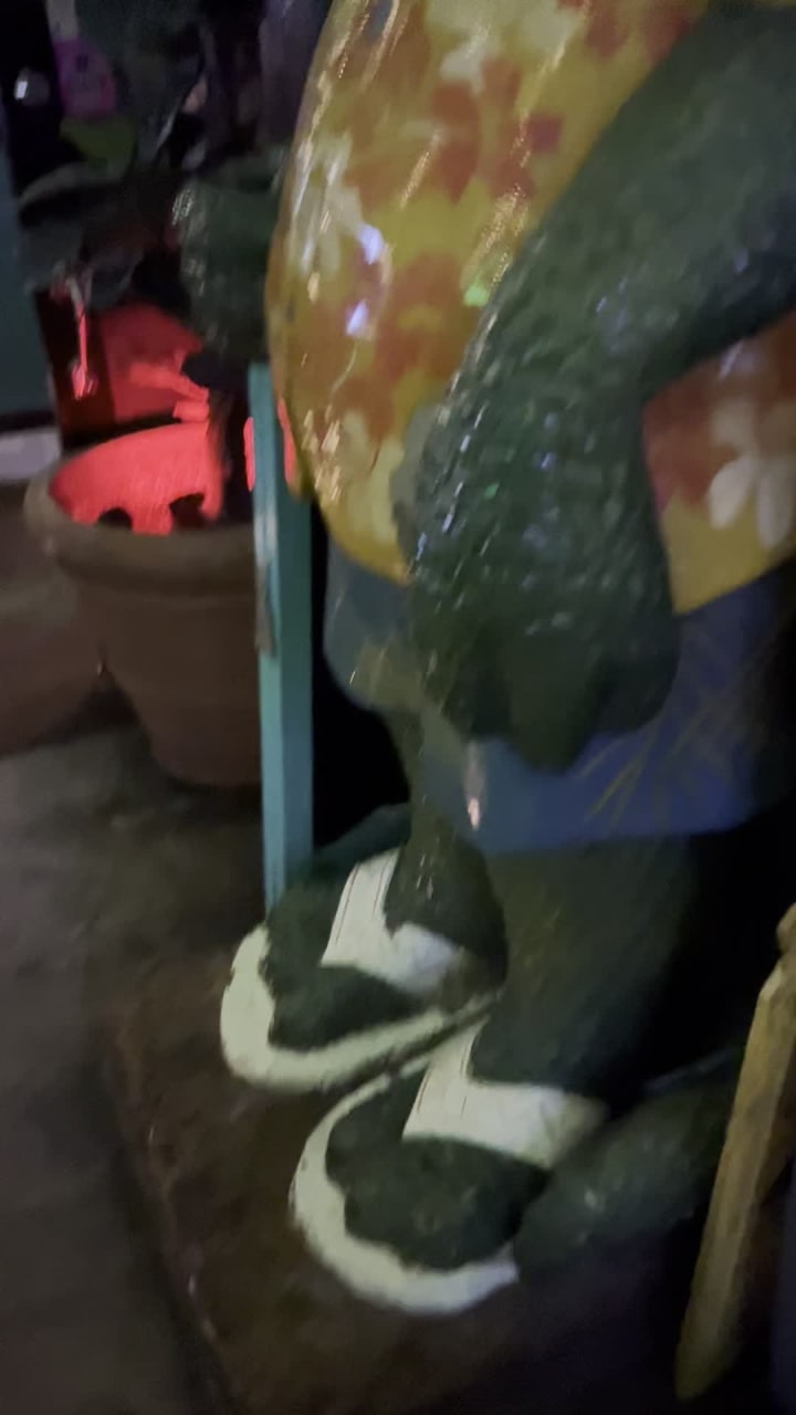 Video review of Green Iguana Bar & Grill