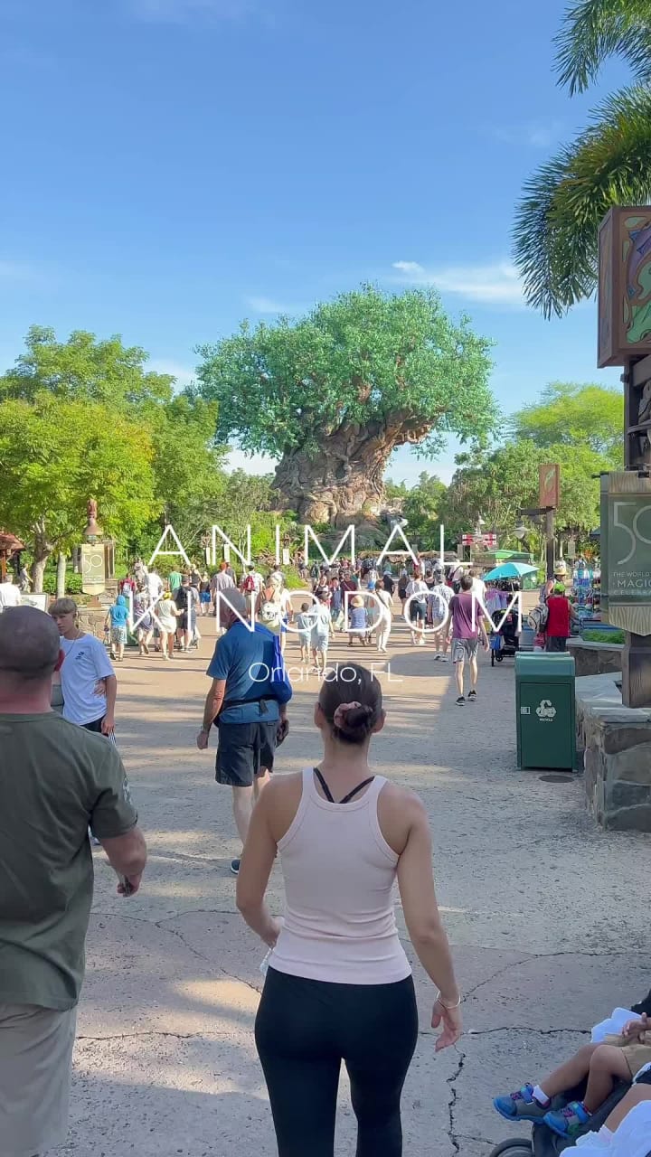 Disney's Animal Kingdom