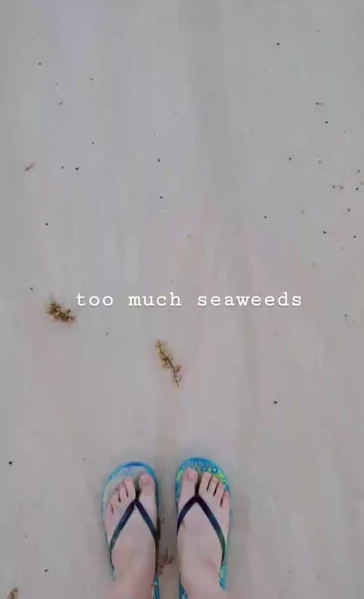 Video review of Tulum Beach