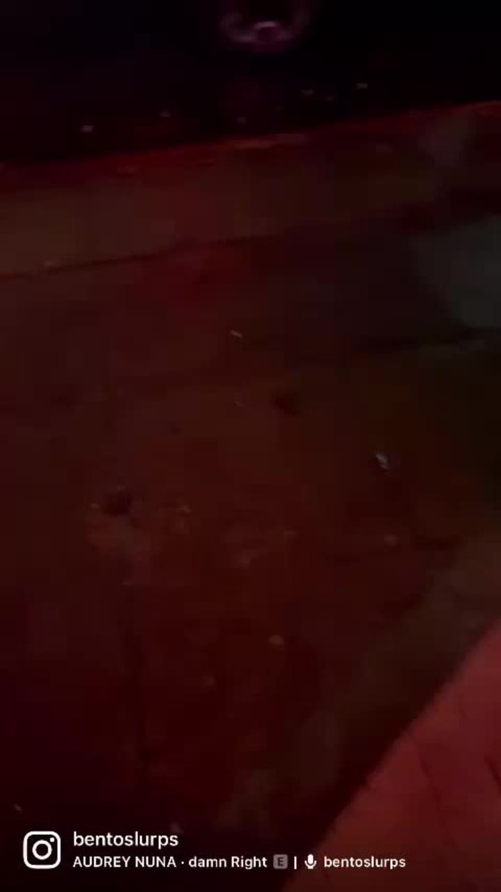 Fortunate Son Chinese