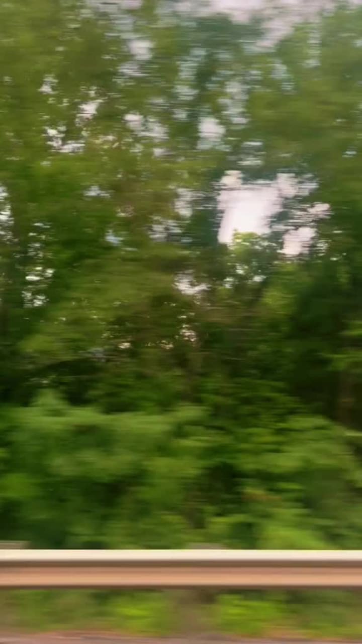 The Great Smoky Mountains