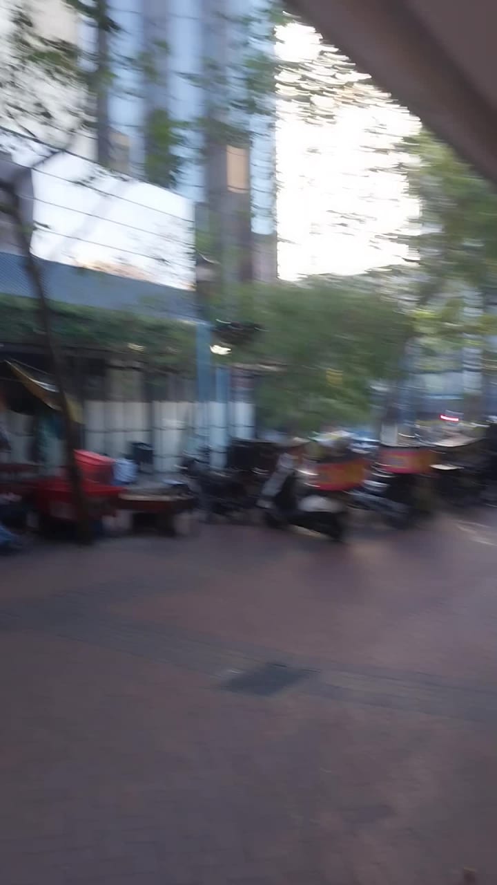 Capetown Ostrich Ranch