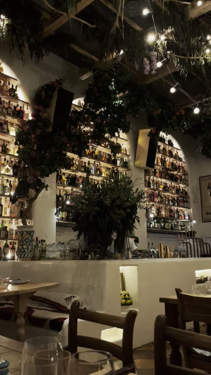 Video review of Circolo Popolare