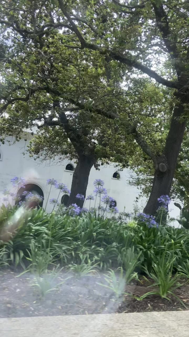 Groot Constantia Wine Estate