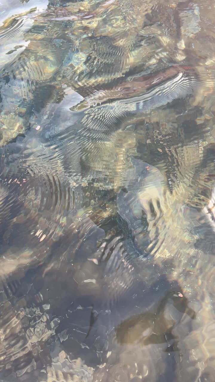 Video review of Titanic Museum Attraction